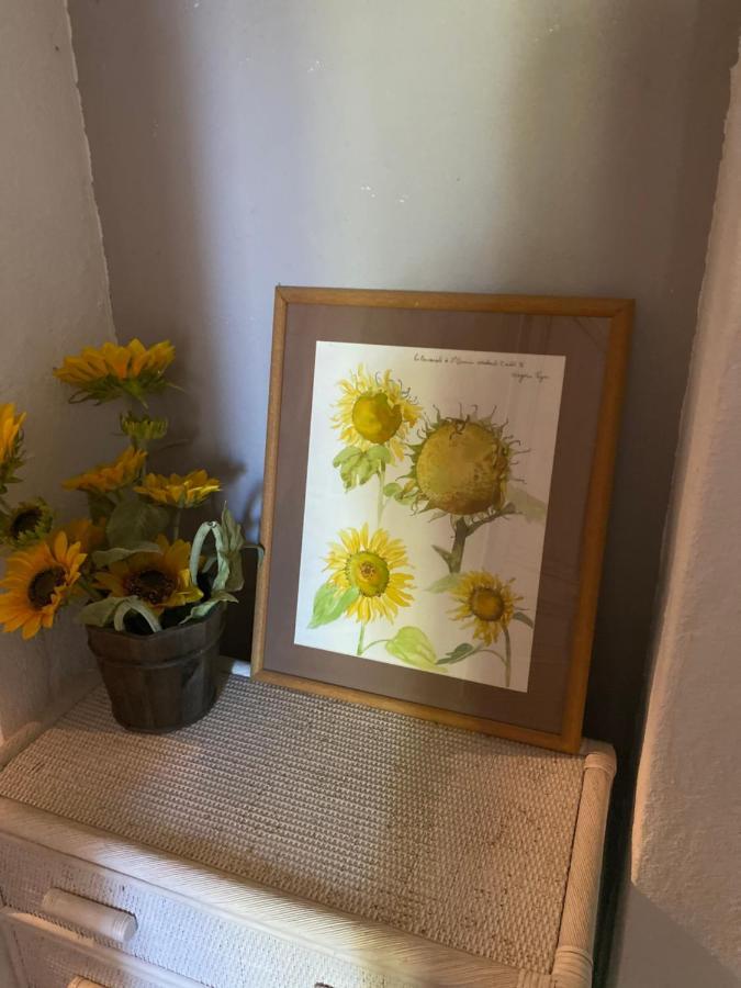 Maison Ventoux 1 Luxe Calme Central Linge Fourni Malaucène Εξωτερικό φωτογραφία